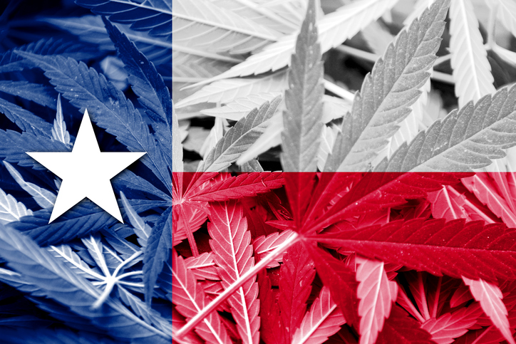 Texas flag over marijuana